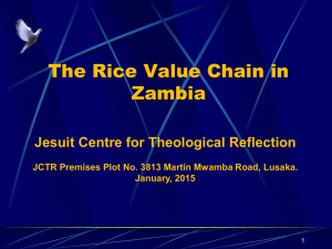 The rice Value Chain In - Jesuit Centre for Theological Reflection