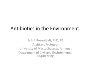 Antibiotics in the Environment. - University of Massachusetts Amherst