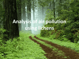 Analysis of air pollution using lichen