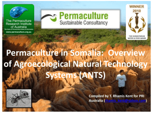 ANTS-Somalia - Permaculture Research Institute