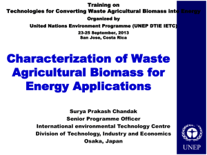 Characterization of Waste Agricultural Biomass for Energy