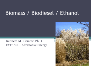 Biomass / Biodiesel / Ethanol