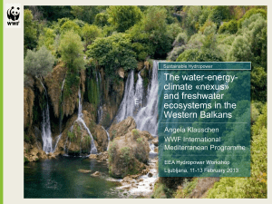 Session 2 - Water-energy-climate nexus and freshwater ecosystems