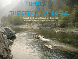 measured scour of Chinook salmon redds on dredge tailings and