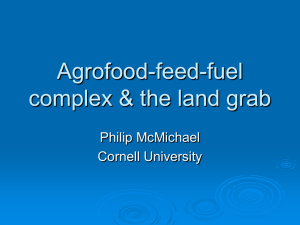 Agrofood-feed-fuel complex and the land grab