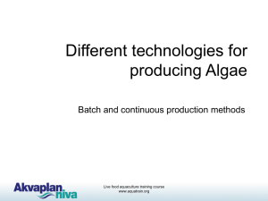 Different technologies for producing Algae