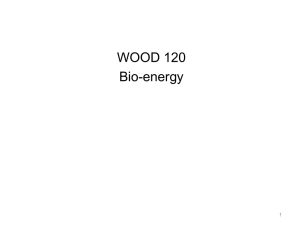 Bioenergy - WOOD 120