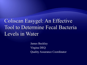 Coliscan Easygel: A Simple and Effective Tool to Determine Fecal