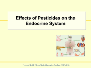 Effects of Pesticides on the Endocrine System