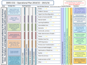 DDES CCG – Plan on a Page 2013/14
