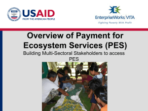Payment for Ecosystem Services Overview and Philippines Water