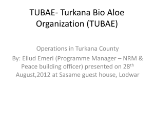 tubae thematic areas