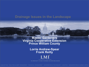 Drainage Issues in the Landscape
