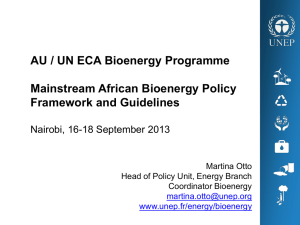 The UN-Energy Bioenergy Decision Support Tool (DST) GBEP 1st