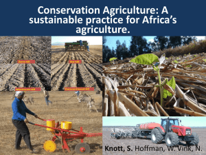 A sustainable practice for Africa`s agriculture.