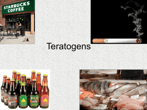 Teratogens - University of Puget Sound