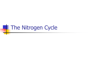 The Nitrogen Cycle - Western Reserve Public Media