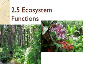 2.5_Ecosystem Functions_productivity
