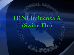 H1N1 Influenza A (Swine Flu) COMMUNITY HEALTH NURSING ppt