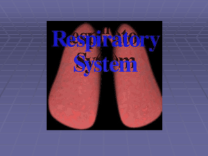 Respiration - nrpsportal.org