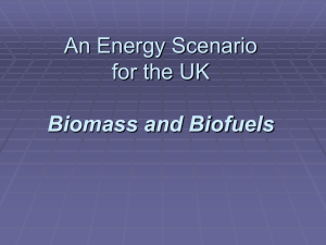 An Energy Scenario for the UK Biomass and Biofuels