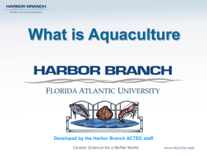 What_is_aquaculture