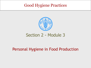 Personal Hygiene in Food Production - Sp