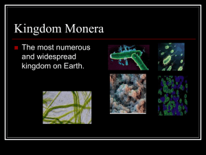 Kingdom Monera 1_1_