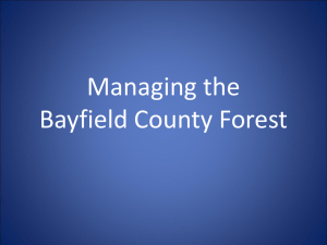 Managing the Bayfield County Forest