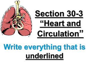 30-3 Heart
