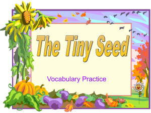 The Tiny Seed - Volunteersue.com