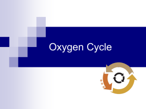 Oxygen Cycle - Western Reserve Public Media