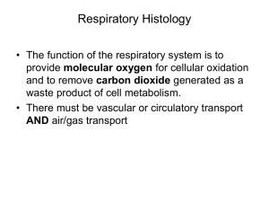 Respiratory-Histology-Sept