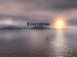 Ecosystems and Cycles