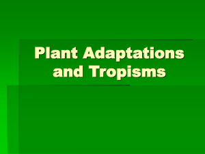 Plant Adaptations and Tropisms