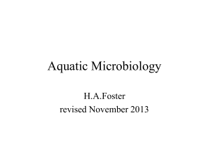 Freshwater microbiology 2013 (1)