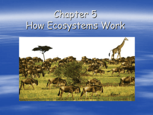 Chapter 5: “How Ecosystems Work”