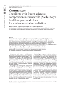 The fibres with fluoro-edenitic composition in Biancavilla (Sicily, Italy