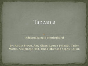 Tanzania (Industrializing Horticultural)