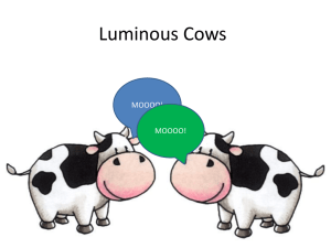 Luminous Cows - Final Presentation