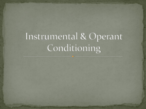 Instrumental & Operant Conditioning