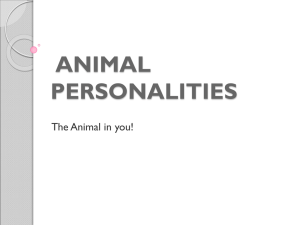 Animal Characteristics Powerpoint