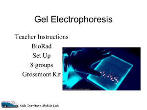 Gel electrophoresis teacherBioRad