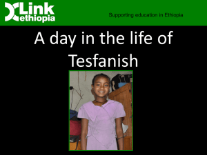 A day in the life of Tesfanish