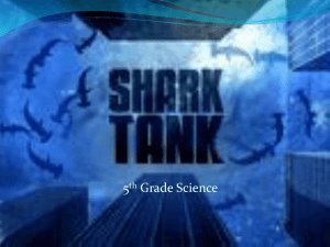 Shark Tank Project (Power Point)