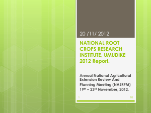 national root crops