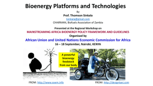 Bioenergy Platforms and Technologies