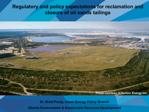 Tailings Roadmap and Action Plan