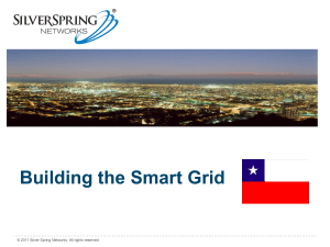 Building the Smart Grid