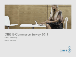 DIBS E-Handelsindex 2010